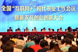 農業(yè)創(chuàng  )業(yè)創(chuàng  )新典型人物故事,農業(yè)創(chuàng  )業(yè)創(chuàng  )新學(xué)員心得體會(huì ),農業(yè)創(chuàng  )新創(chuàng  )業(yè)案例