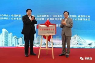 新僑創(chuàng  )新創(chuàng  )業(yè)示范基地類(lèi)型
