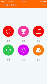 創(chuàng  )新,寵物,創(chuàng  )業(yè),APP