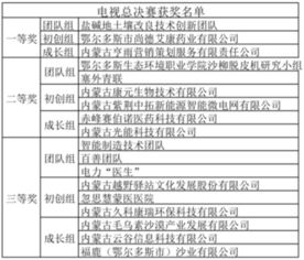 創(chuàng  )新創(chuàng  )業(yè)大賽結項表