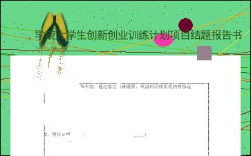 軟件的創(chuàng  )新創(chuàng  )業(yè)結題報告