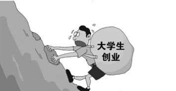階段,包括,創(chuàng  )新,選擇