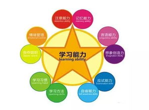 顛覆創(chuàng  )新是創(chuàng  )業(yè)過(guò)程創(chuàng  )新能力維度的第一要素