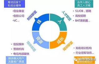 創(chuàng  )業(yè)創(chuàng  )新激活