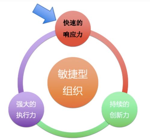 分工,團隊,創(chuàng  )新,創(chuàng  )業(yè)