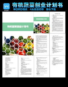 蔬菜批發(fā)創(chuàng  )新創(chuàng  )業(yè)計劃書(shū)