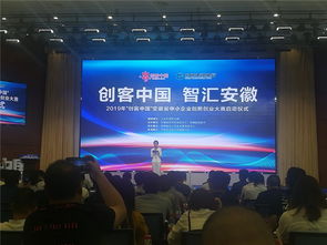 2019創(chuàng  )客中國安徽省創(chuàng  )新創(chuàng  )業(yè)復賽
