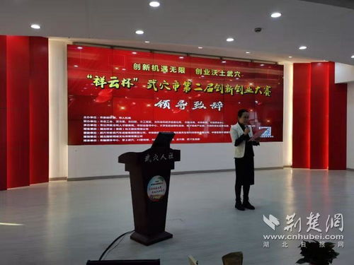 武穴人社局創(chuàng  )新創(chuàng  )業(yè)總結