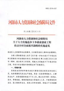 返鄉下鄉創(chuàng  )業(yè)創(chuàng  )新實(shí)施意見(jiàn)