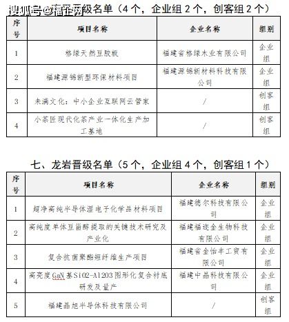 剪紙文化創(chuàng  )新創(chuàng  )業(yè)申報表
