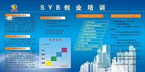 指導,創(chuàng  )新,創(chuàng  )業(yè),syb