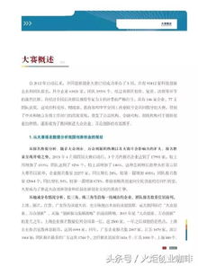 大四創(chuàng  )新創(chuàng  )業(yè)實(shí)踐報告