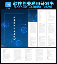 計劃書(shū),開(kāi)發(fā)軟件,創(chuàng  )新,創(chuàng  )業(yè)