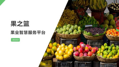 創(chuàng  )新創(chuàng  )業(yè)計劃書(shū)大學(xué)生直播