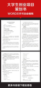 計算機專(zhuān)業(yè),策劃書(shū),創(chuàng  )新,創(chuàng  )業(yè)