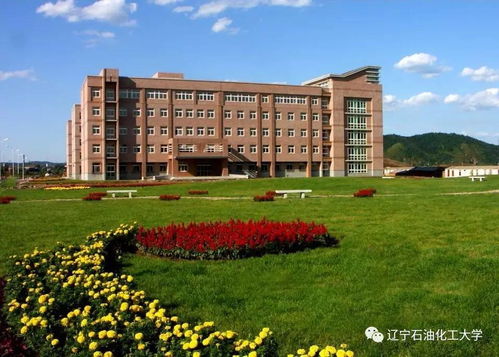 遼寧石油化工大學(xué)創(chuàng)新創(chuàng)業(yè)學(xué)院