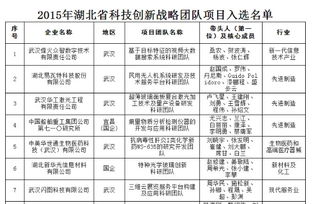 湖北省創(chuàng  )新創(chuàng  )業(yè)戰略團隊,創(chuàng  )新創(chuàng  )業(yè)公司戰略,創(chuàng  )新創(chuàng  )業(yè)與戰略管理