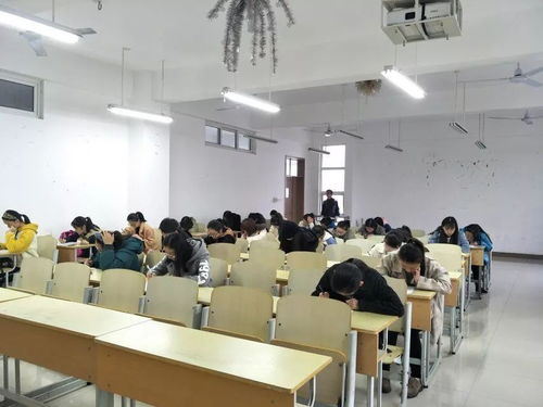 社團,活動(dòng)方案,創(chuàng  )新,創(chuàng  )業(yè)