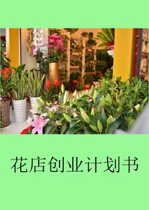 花店創(chuàng  )新創(chuàng  )業(yè)項目