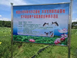 南昌大學(xué)創(chuàng  )新創(chuàng  )業(yè)學(xué)院,南昌大學(xué)創(chuàng  )新創(chuàng  )業(yè)基礎課答案,南昌大學(xué)創(chuàng  )新創(chuàng  )業(yè)學(xué)分