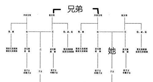 直系親屬包括哪些兄弟姐妹是不是直系親屬