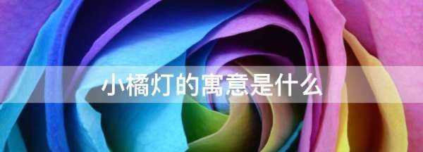 小橘燈的寓意是什么,一個(gè)男生為一個(gè)女生做小橘燈寓意什么呢圖2