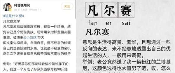 低調的凡爾賽是什么意思