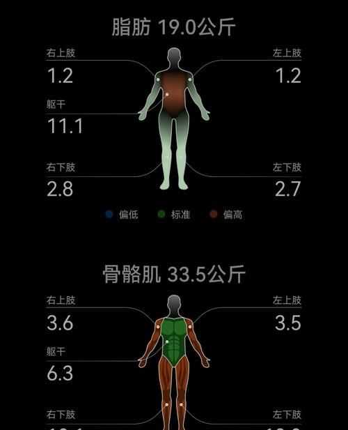力量訓練后體脂會(huì )下降是為什么呢