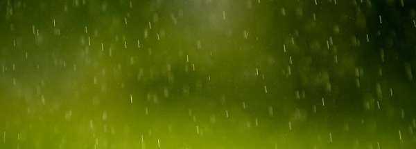 哪些小動(dòng)物能預知下雨,哪些小動(dòng)物能預知下雨的視頻圖1