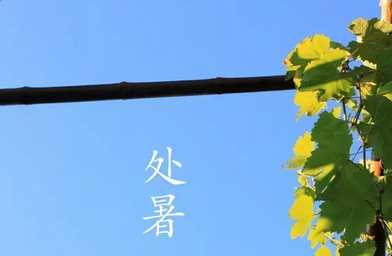 處暑的時(shí)間是什么代表的意思又是什么
