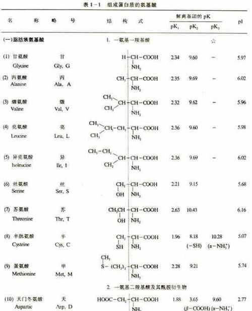 不帶氨基的氨基酸是