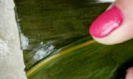 蜜棗粽子的做法，蜜棗粽子的做法和包法？圖15