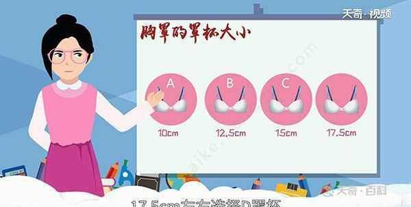 文胸尺寸，文胸尺碼表是以什么為對照表？圖3