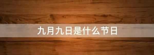 9 9日是什么日子,九月九日是什么節日圖2
