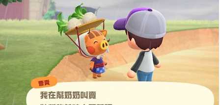 買(mǎi)大頭菜時(shí)間,動(dòng)森大頭菜多少一組圖4