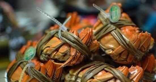 異龍湖大閘蟹什么時間上市