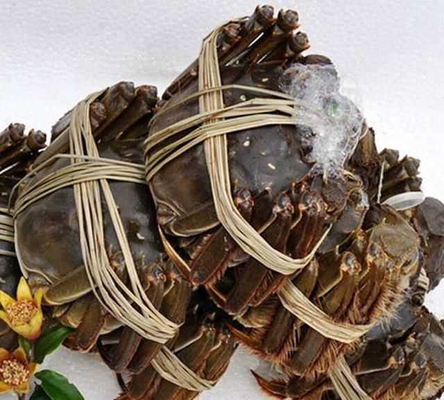 大閘蟹幾月份上市，鄱陽湖大閘蟹何時上市？圖5