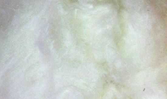 桑蠶絲的優(yōu)缺點，百分百桑蠶絲衣服的優(yōu)缺點？圖4