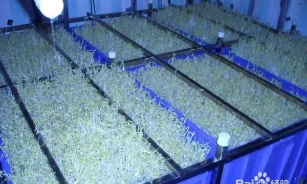 豆芽機(jī)怎么使用,豆芽機(jī)的使用方法介紹圖1