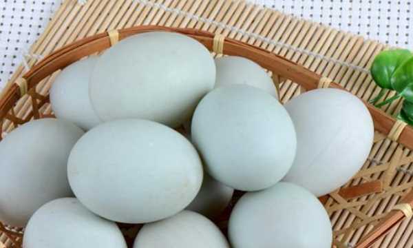 煮熟的鴨蛋放冰箱保鮮能放幾天,鴨蛋常溫下能保存多久圖1