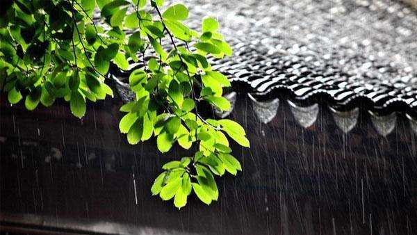 霉雨天是什么季節(jié),梅雨時(shí)節(jié)是什么季節(jié)?圖4