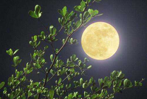 為什么月亮?xí)l(fā)光,月亮為什么會(huì)發(fā)光原理圖圖3