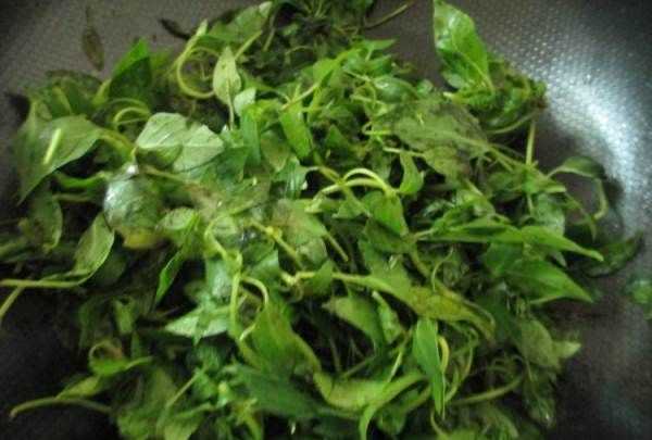 黃瓜荊芥怎么調(diào),完美的黃瓜變蛋拌荊芥怎么做好吃又簡單圖4