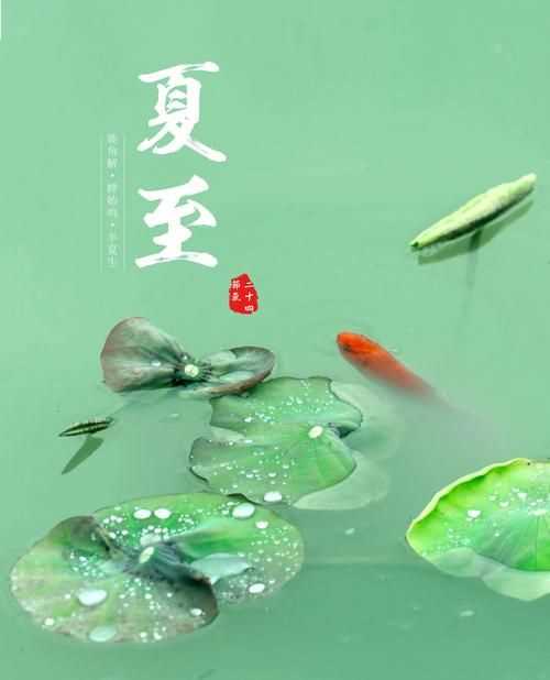 夏節(jié)又稱什么三個(gè)字