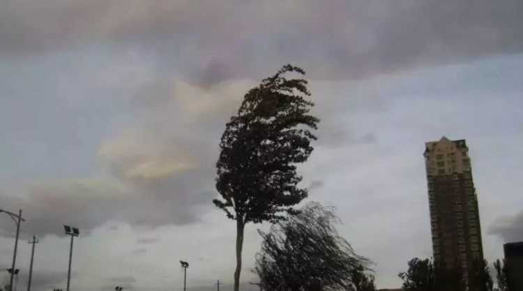 五級風(fēng)的威力有多大?