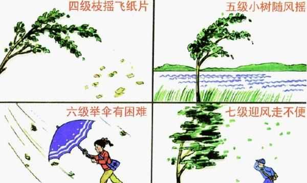 五級風(fēng)有多大,五級風(fēng)是什么程度視頻圖4