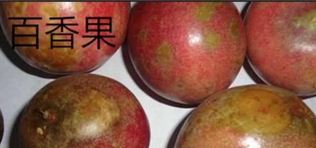 百香果和雞蛋果的區(qū)別，雞蛋果和百香果的區(qū)別？圖2