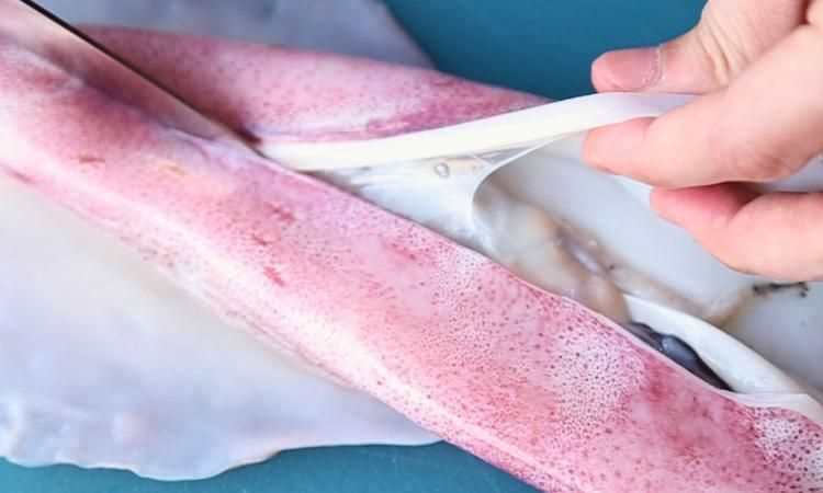 魷魚(yú)打花刀是正面還是反面