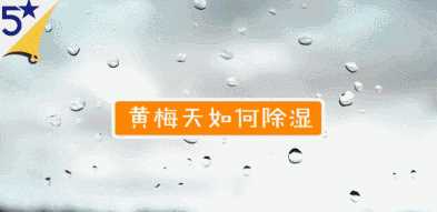 黃梅天家里潮濕怎么辦