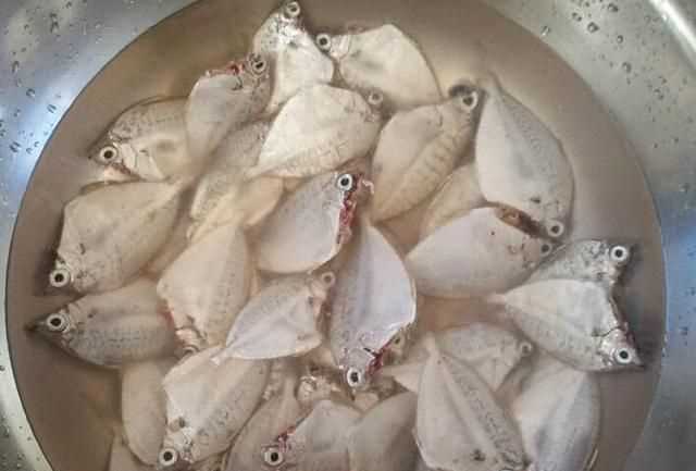 夏天怎么曬魚干不臭